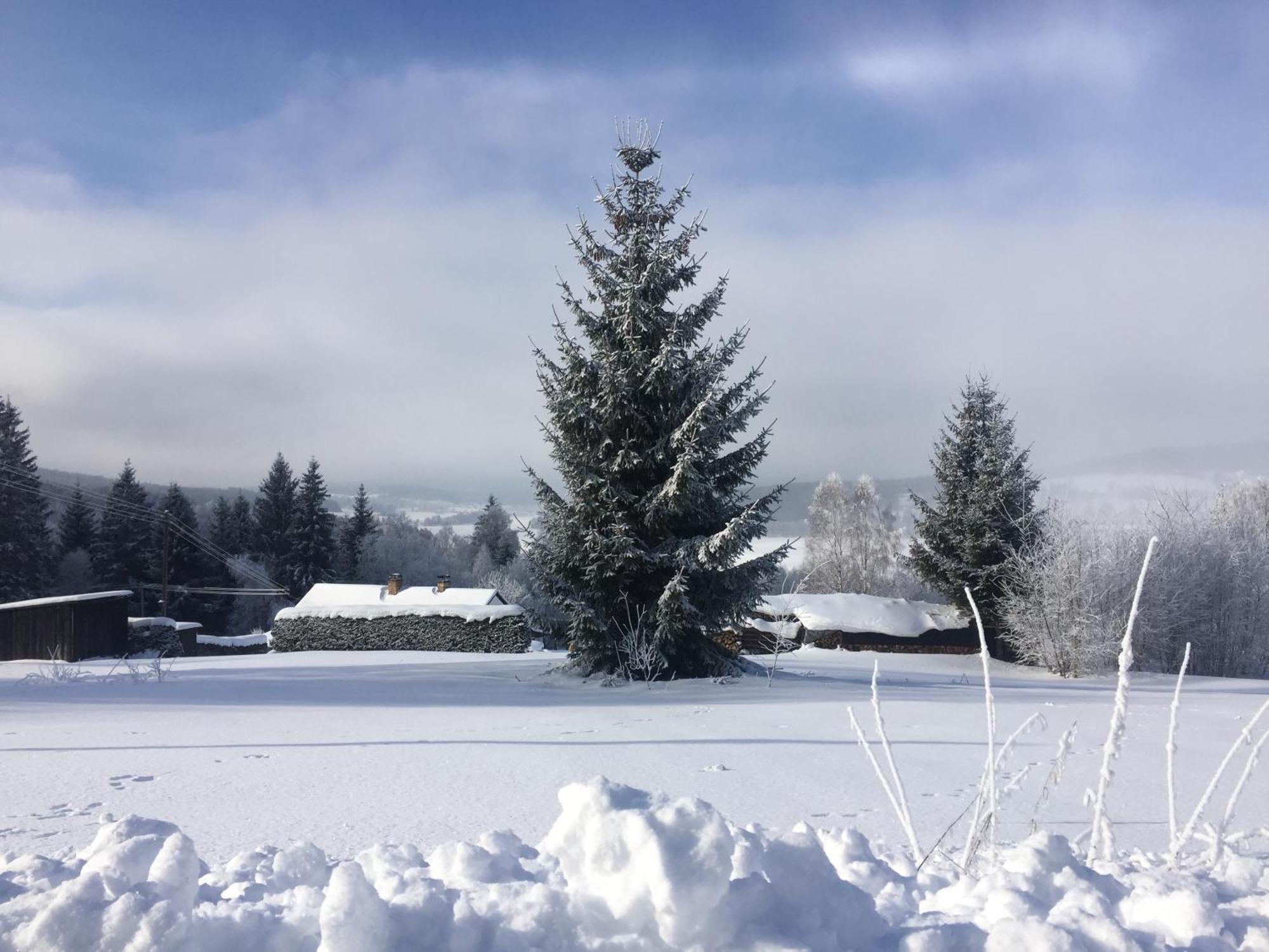 Apartmany Hajovna Lipno Loučovice Exterior foto